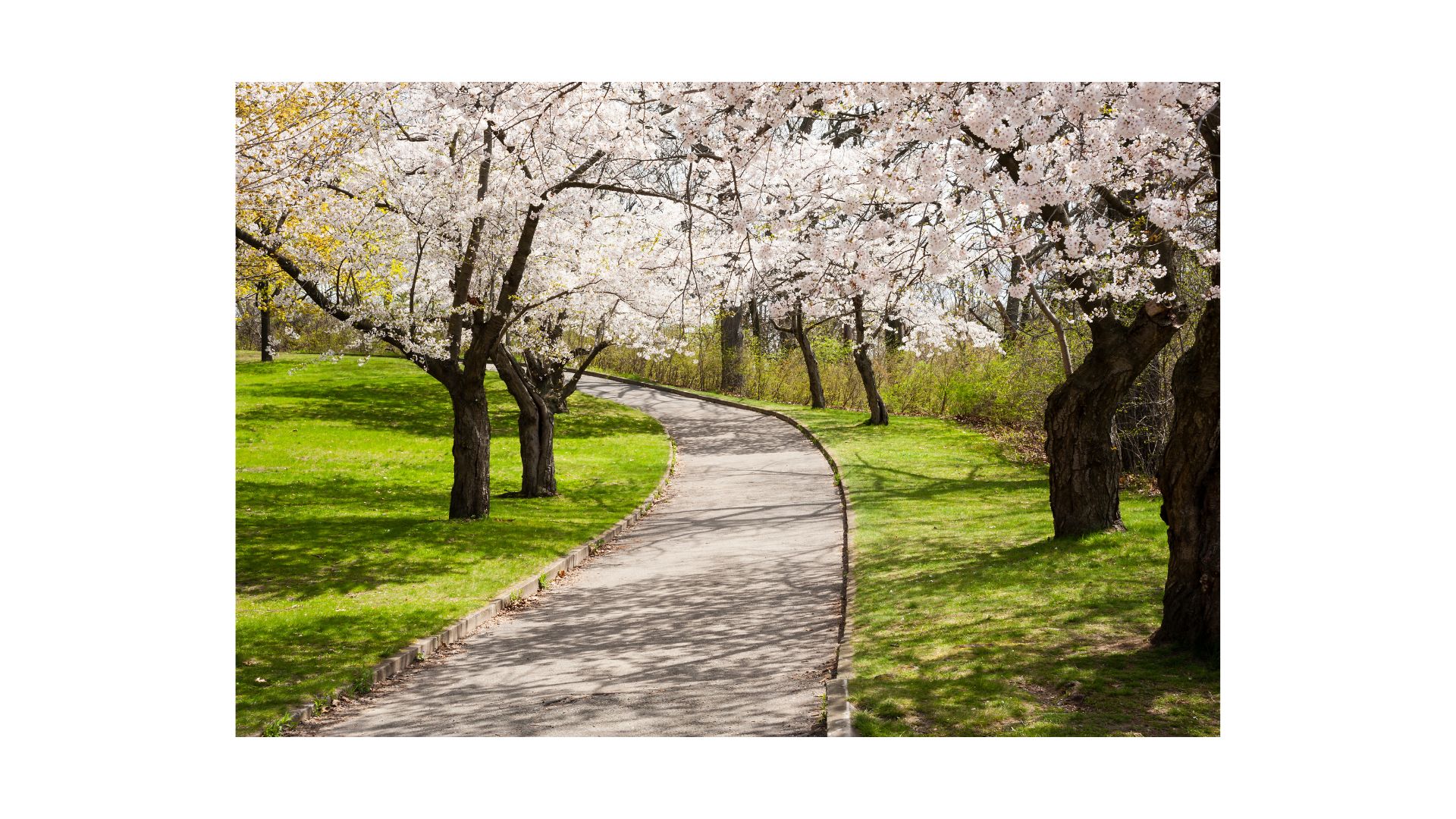 Spring in Detroit: Making the Most of Your Neighborhood as a Renter ...